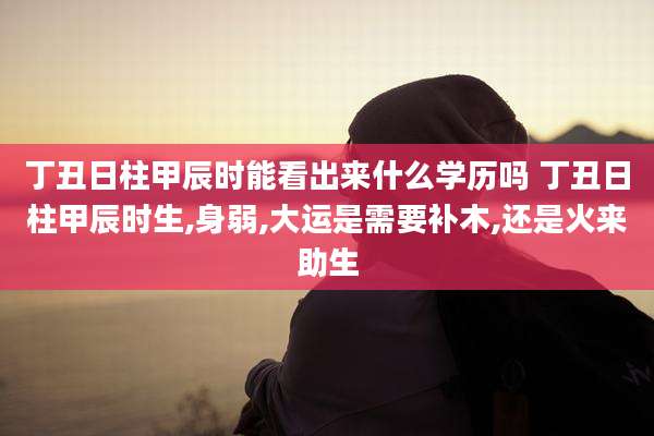 丁丑日柱甲辰时能看出来什么学历吗 丁丑日柱甲辰时生,身弱,大运是需要补木,还是火来助生
