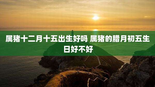 属猪十二月十五出生好吗 属猪的腊月初五生日好不好