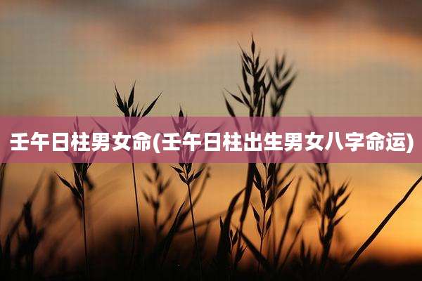 壬午日柱男女命(壬午日柱出生男女八字命运)