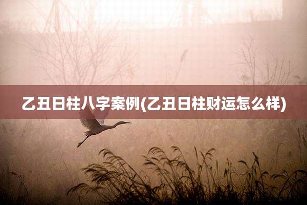 乙丑日柱八字案例(乙丑日柱财运怎么样)