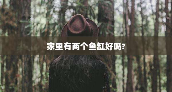 家里有两个鱼缸好吗?