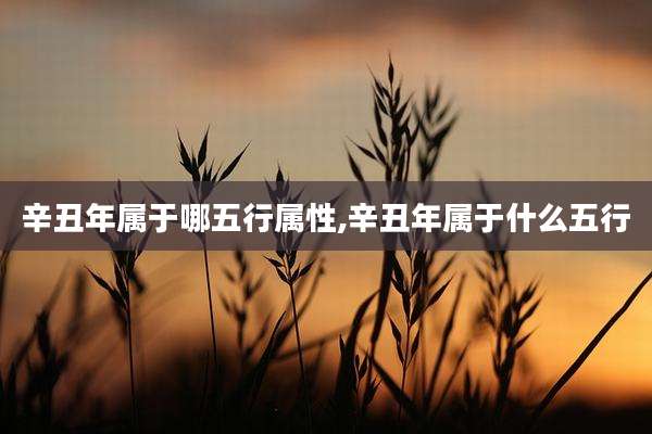 辛丑年属于哪五行属性,辛丑年属于什么五行