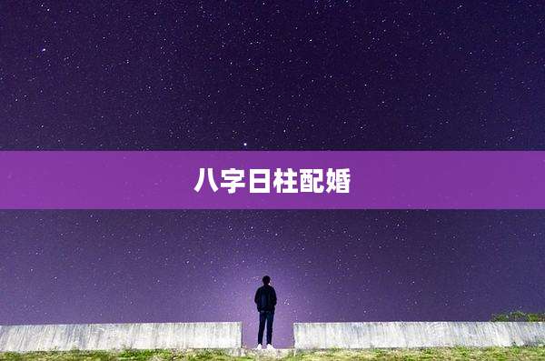 八字日柱配婚