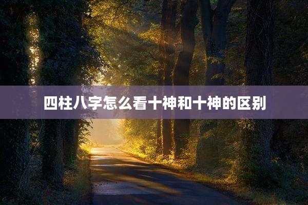 四柱八字怎么看十神和十神的区别