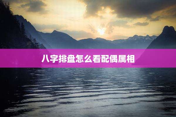八字排盘怎么看配偶属相
