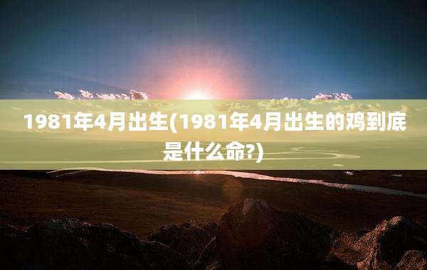 1981年4月出生(1981年4月出生的鸡到底是什么命?)
