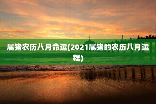 属猪农历八月命运(2021属猪的农历八月运程)