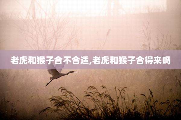 老虎和猴子合不合适,老虎和猴子合得来吗