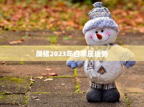 属猪2023年白羊座运势