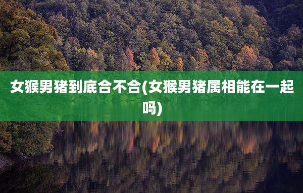 女猴男猪到底合不合(女猴男猪属相能在一起吗)