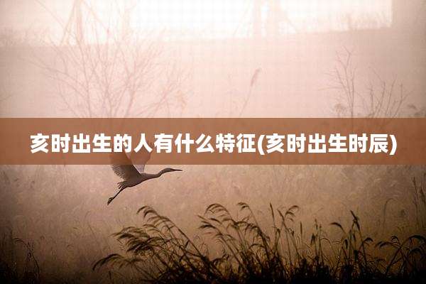 亥时出生的人有什么特征(亥时出生时辰)