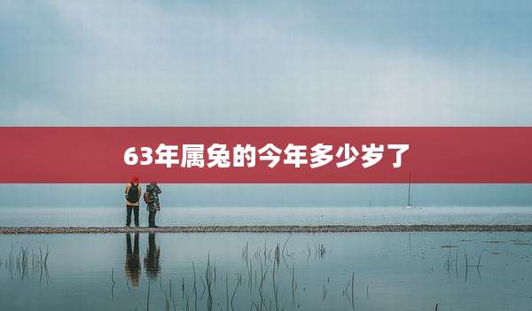 63年属兔的今年多少岁了