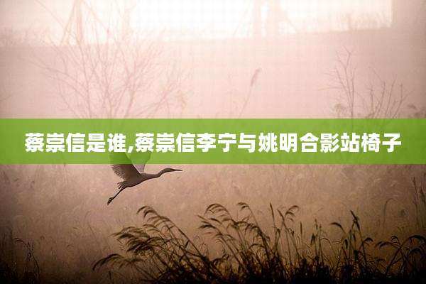 蔡崇信是谁,蔡崇信李宁与姚明合影站椅子