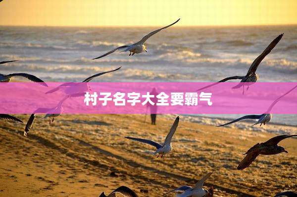 村子名字大全要霸气