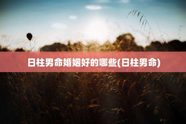 日柱男命婚姻好的哪些(日柱男命)