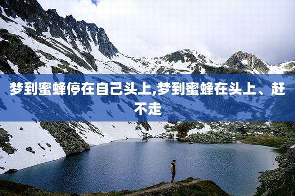 梦到蜜蜂停在自己头上,梦到蜜蜂在头上、赶不走