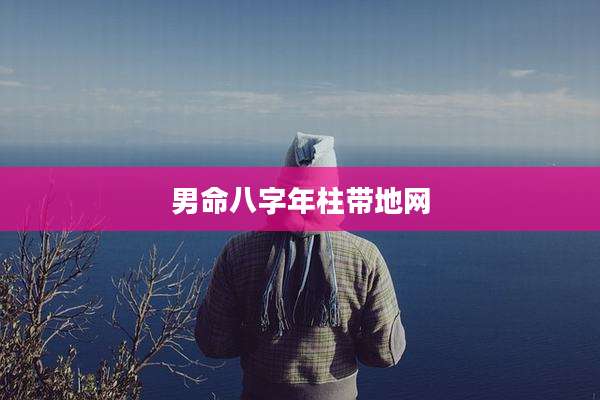 男命八字年柱带地网