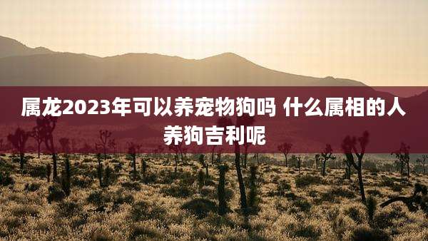 属龙2023年可以养宠物狗吗 什么属相的人养狗吉利呢
