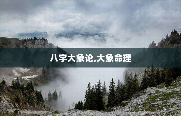 八字大象论,大象命理
