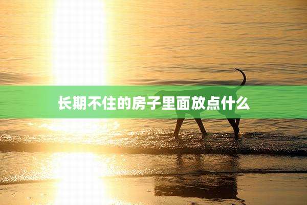长期不住的房子里面放点什么