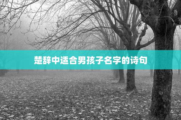 楚辞中适合男孩子名字的诗句