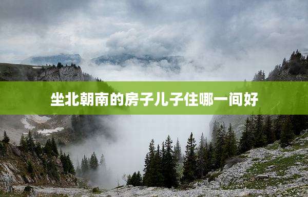 坐北朝南的房子儿子住哪一间好