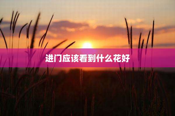 进门应该看到什么花好