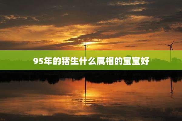 95年的猪生什么属相的宝宝好