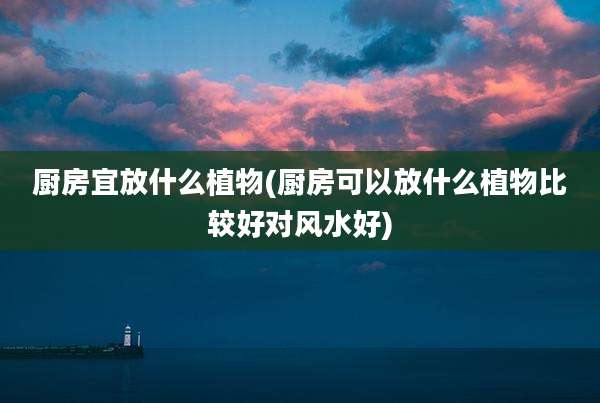 厨房宜放什么植物(厨房可以放什么植物比较好对风水好)