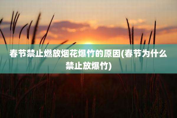 春节禁止燃放烟花爆竹的原因(春节为什么禁止放爆竹)