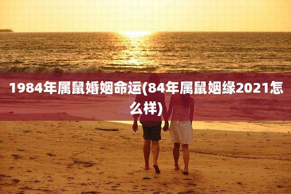 1984年属鼠婚姻命运(84年属鼠姻缘2021怎么样)