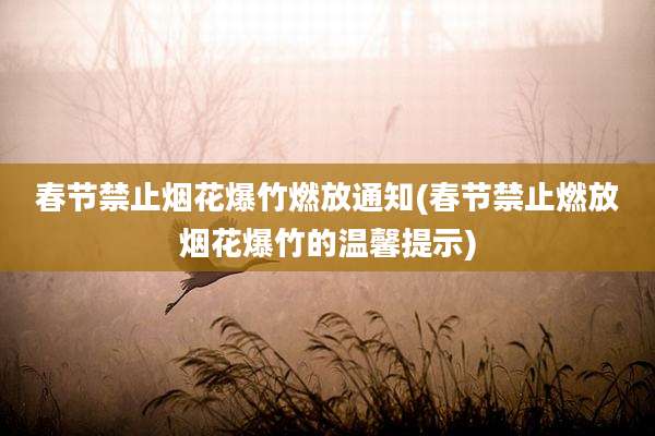 春节禁止烟花爆竹燃放通知(春节禁止燃放烟花爆竹的温馨提示)
