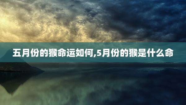 五月份的猴命运如何,5月份的猴是什么命
