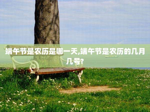 端午节是农历是哪一天,端午节是农历的几月几号?