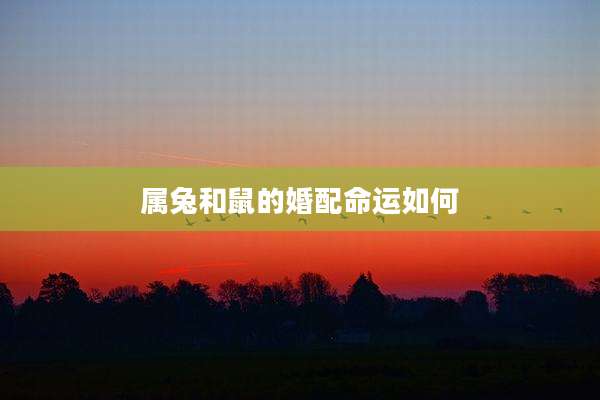属兔和鼠的婚配命运如何