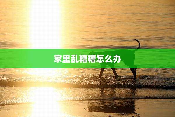 家里乱糟糟怎么办