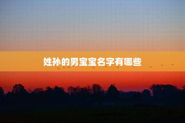 姓孙的男宝宝名字有哪些
