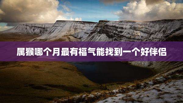 属猴哪个月最有福气能找到一个好伴侣