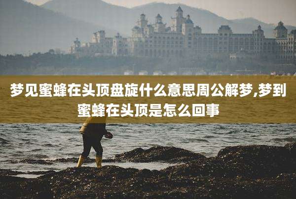 梦见蜜蜂在头顶盘旋什么意思周公解梦,梦到蜜蜂在头顶是怎么回事