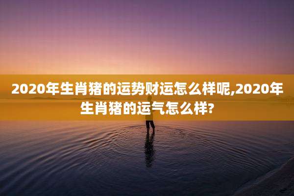 2020年生肖猪的运势财运怎么样呢,2020年生肖猪的运气怎么样?