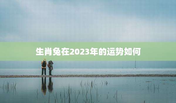 生肖兔在2023年的运势如何