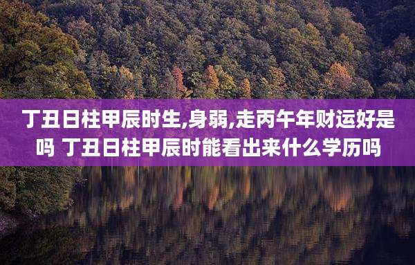 丁丑日柱甲辰时生,身弱,走丙午年财运好是吗 丁丑日柱甲辰时能看出来什么学历吗