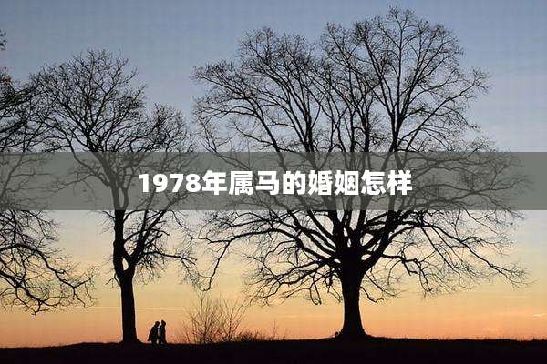 1978年属马的婚姻怎样