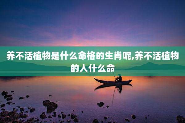 养不活植物是什么命格的生肖呢,养不活植物的人什么命