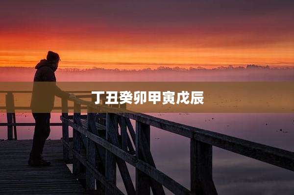 丁丑癸卯甲寅戊辰