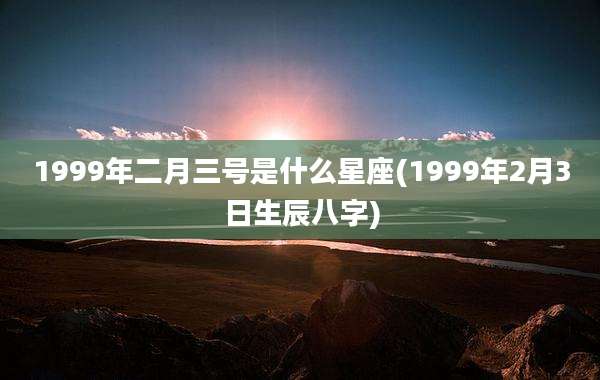 1999年二月三号是什么星座(1999年2月3日生辰八字)