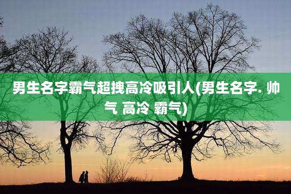 男生名字霸气超拽高冷吸引人(男生名字. 帅气 高冷 霸气)