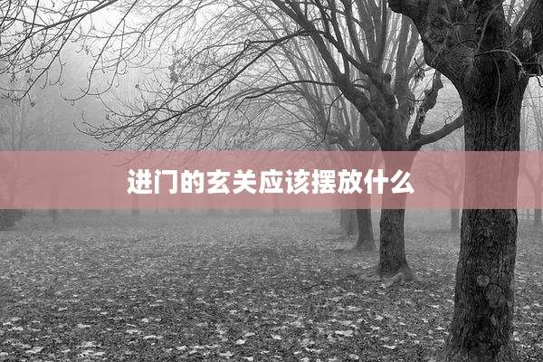 进门的玄关应该摆放什么