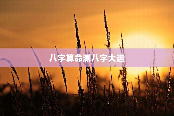 八字算命测八字大运