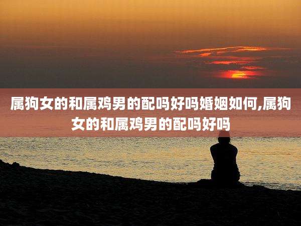 属狗女的和属鸡男的配吗好吗婚姻如何,属狗女的和属鸡男的配吗好吗